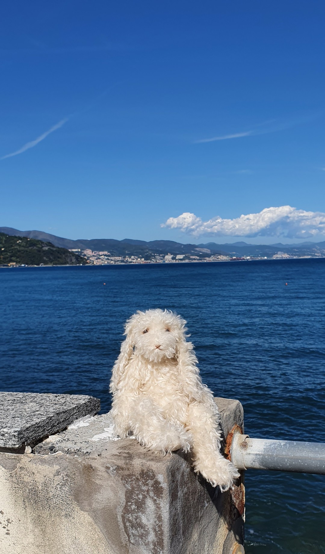 Фото из личного архива Олеси