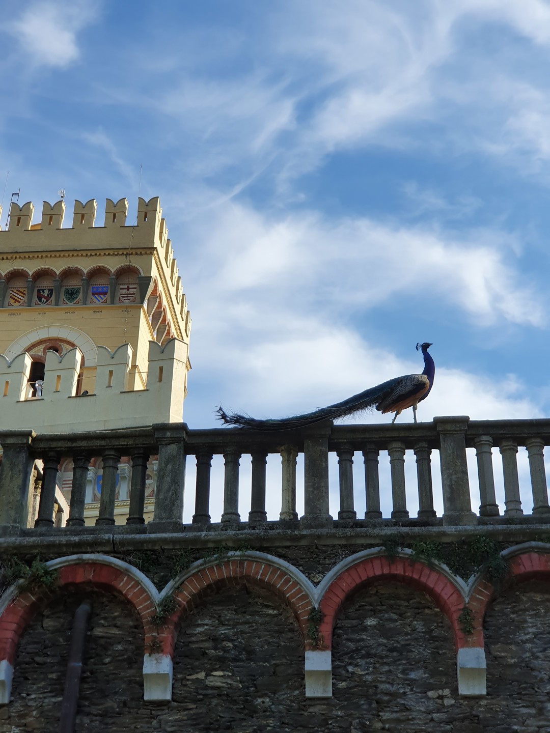 Фото из личного архива Олеси