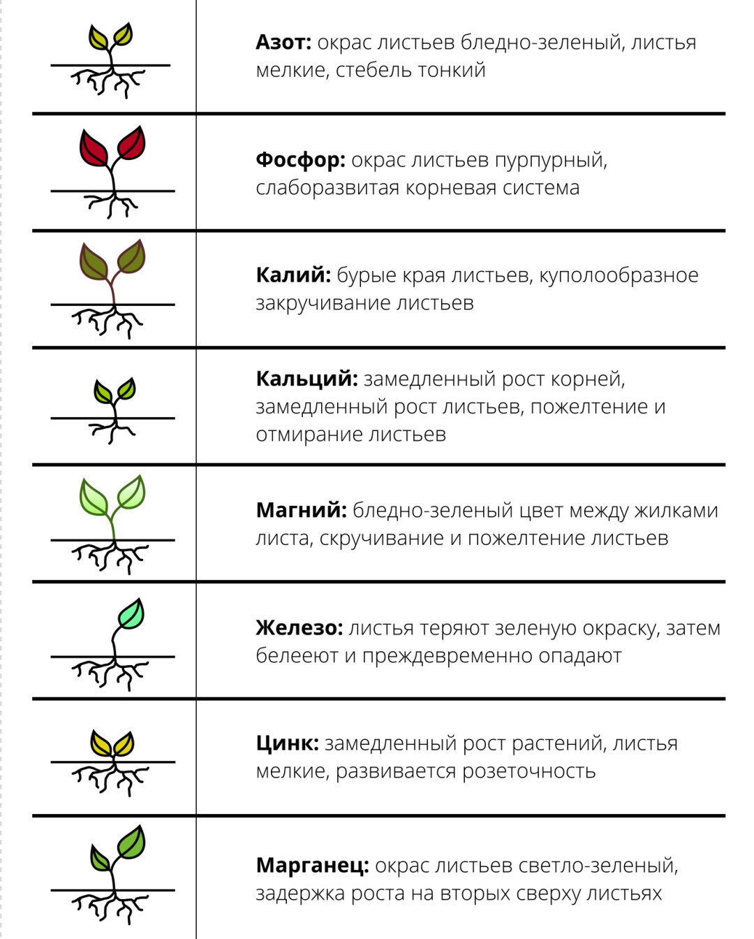 16 советов для экологичной дачи и здорового загородного отдыха | Sobaka.ru