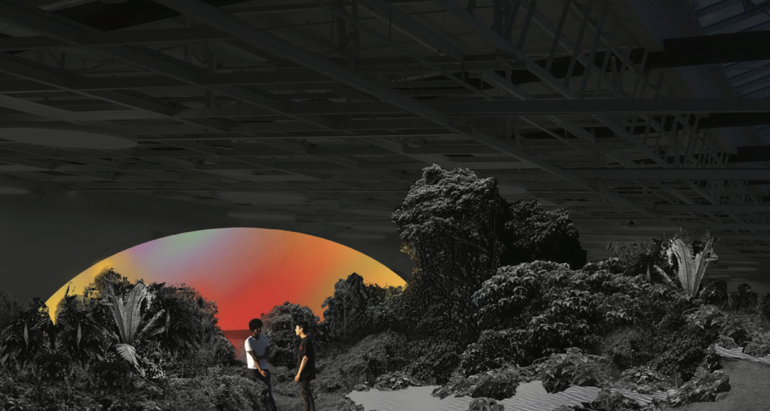 Лес истекших ссылок