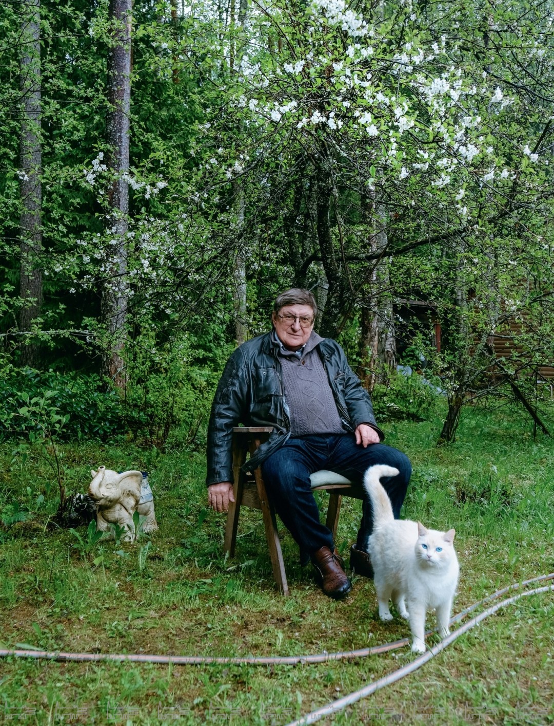 Святослав Всеволодвич сфотографирован и живет на улице Академика Комарова — ботаника, президента Академии наук СССР, в честь которого названы десятки