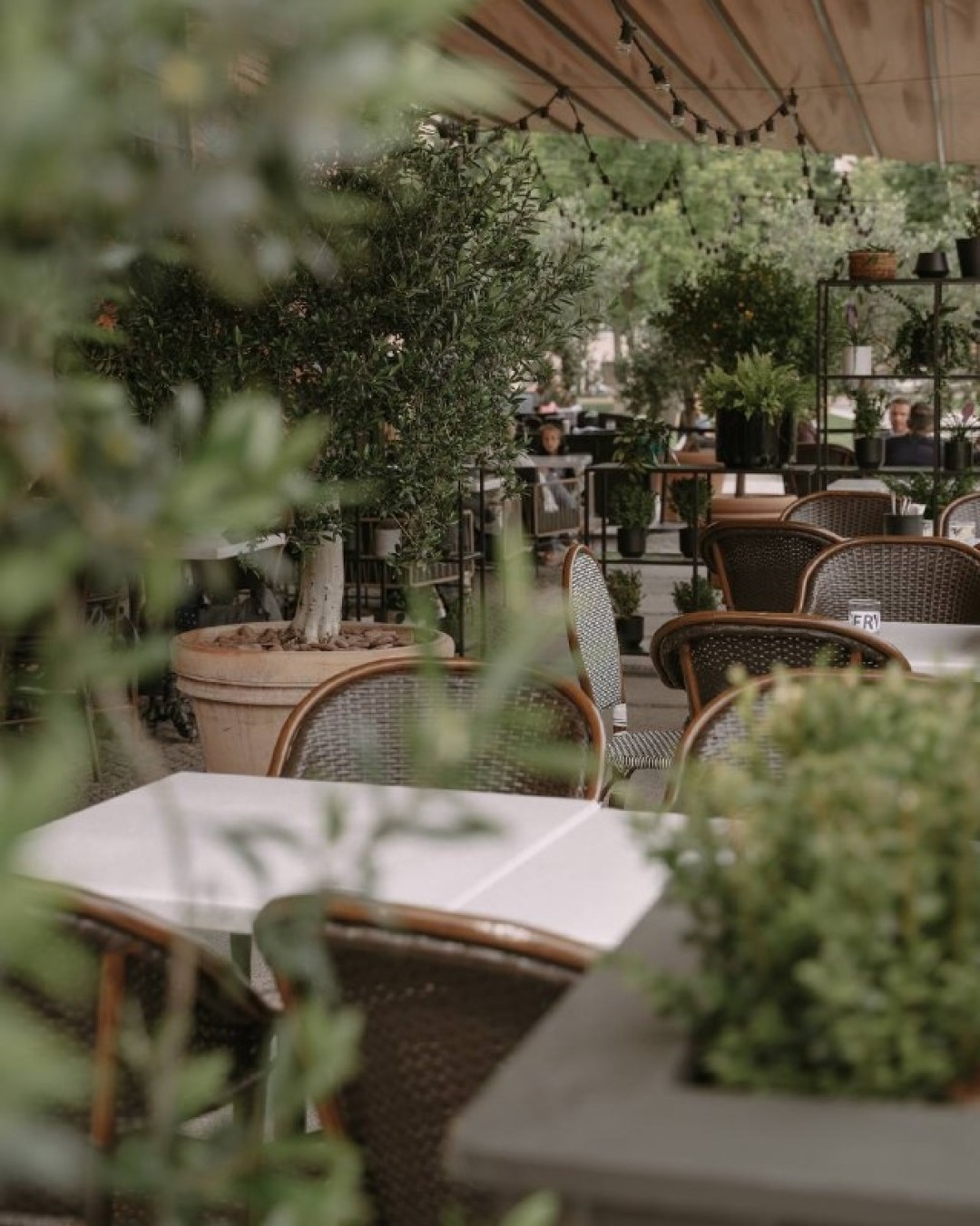 Kuznya House наб. Адмиралтейского канала, 2А