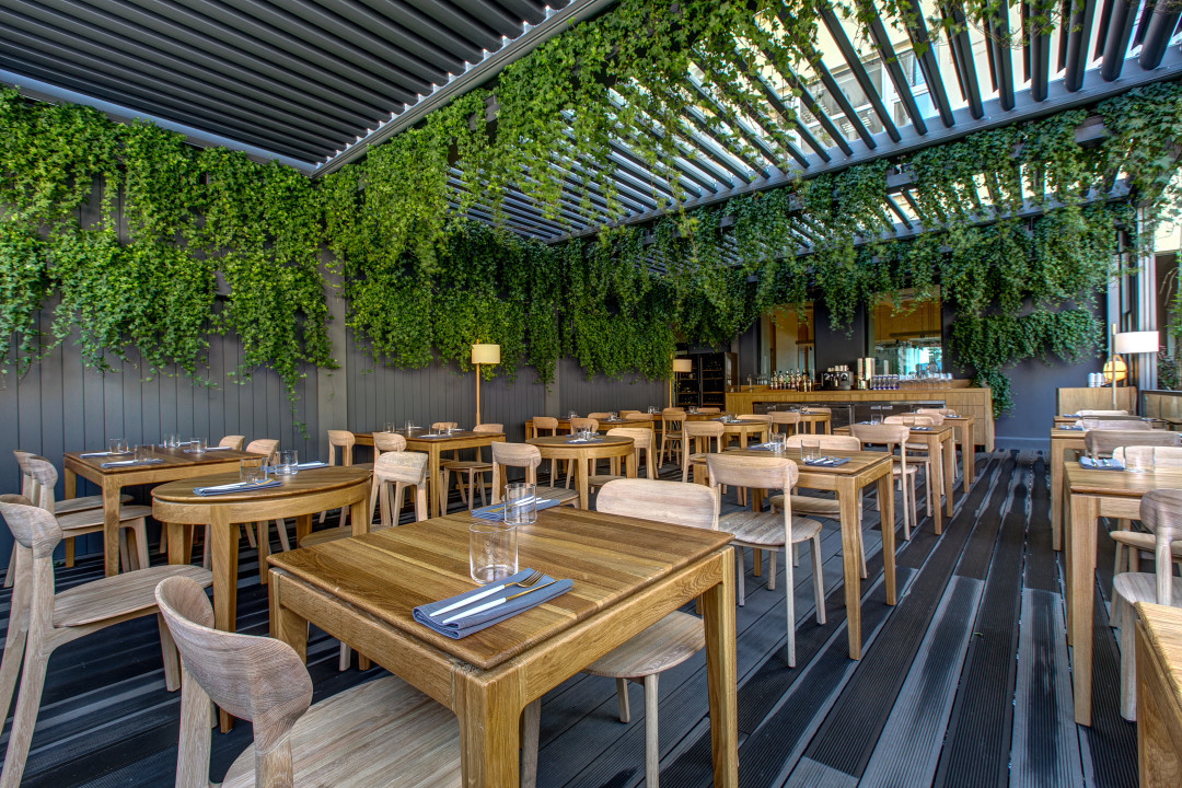 Harvest пр. Добролюбова, 11