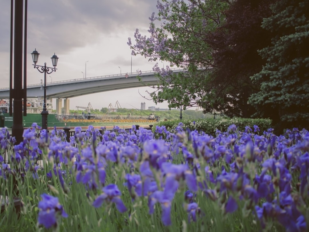 Photo by Anita Jankovic on Unsplash