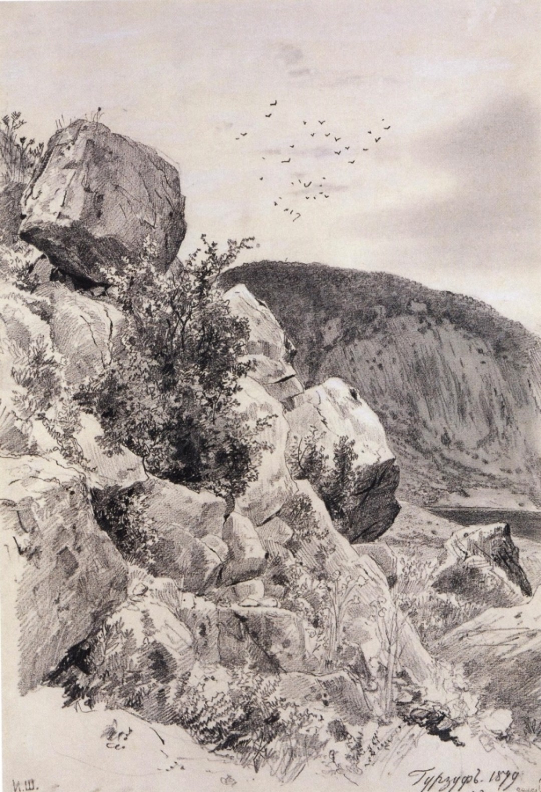 Шишкин Иван Иванович. Камни. Гурзуф. Бумага, графитный карандаш. 44,1х30,2. ГРМ.