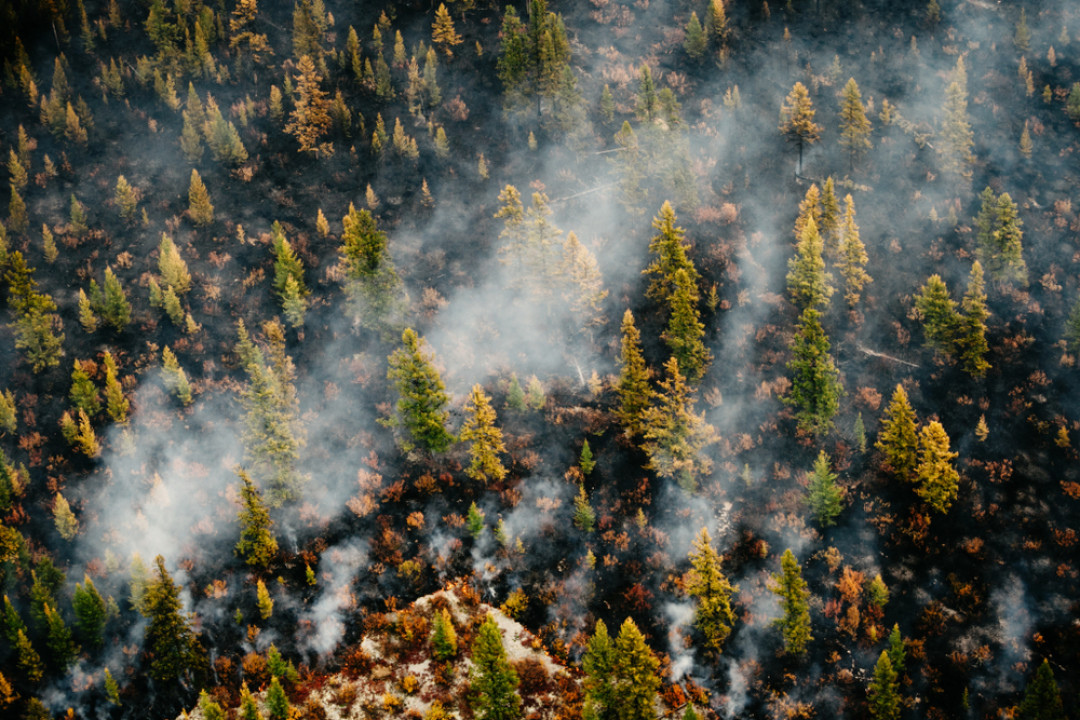 Sergey Filinin / Shutterstock