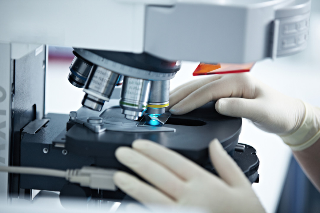 Y production / Shutterstock