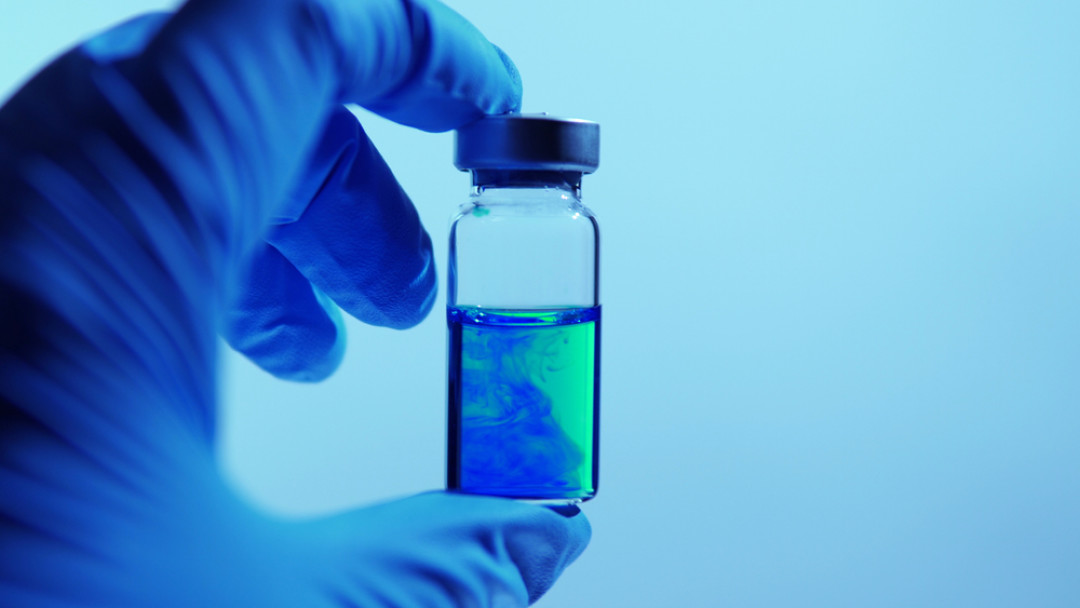 Golden Shrimp / Shutterstock