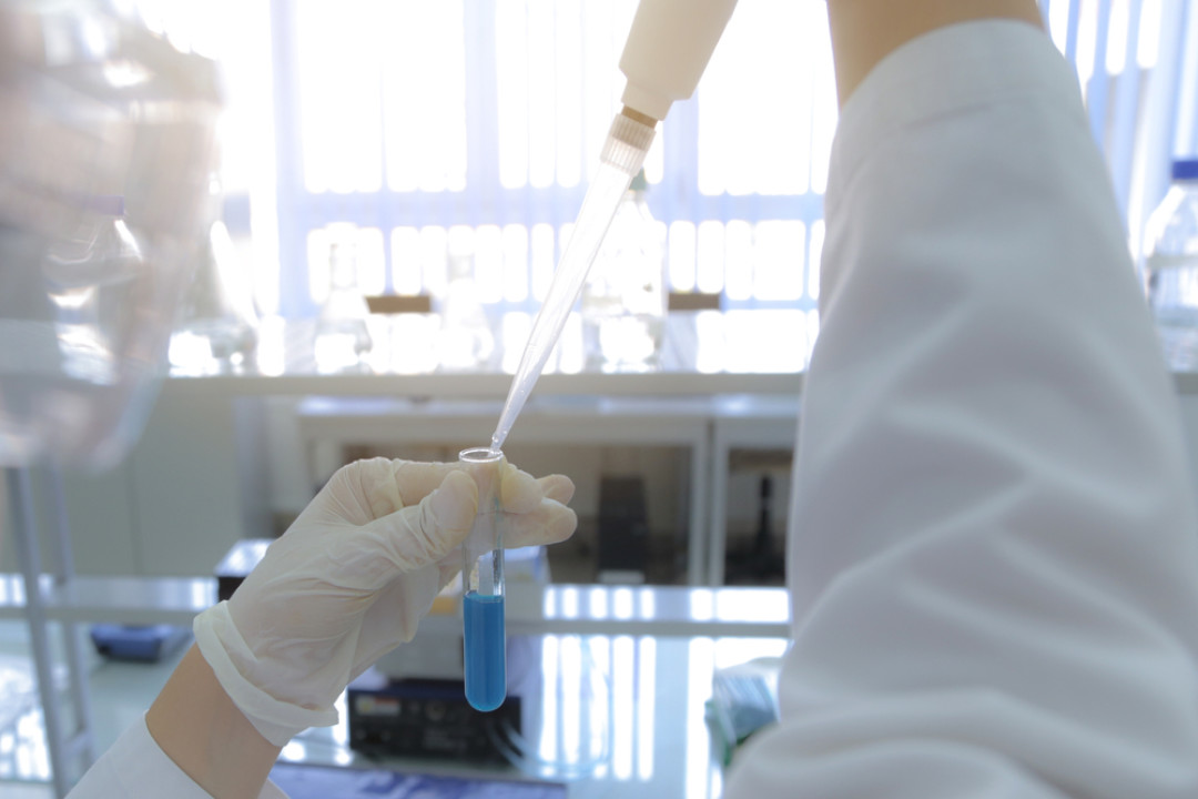 as-artmedia / Shutterstock