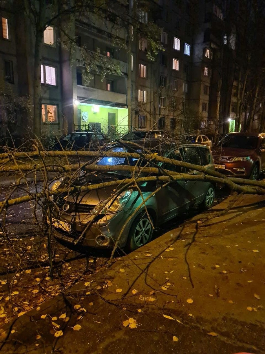 Локальный апокалипсис: что происходит в Петербурге и Ленобласти во время  шторма «Хендрик» | Sobaka.ru