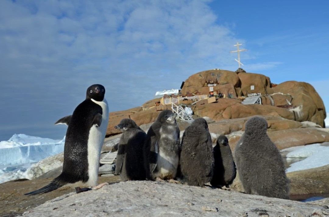 «Остров Буромского» режиссера Ольги Стефановой в 2020 году получил Гран-При и ряд премий престижных фестивалей. Это кинолента о людях, похороненных на