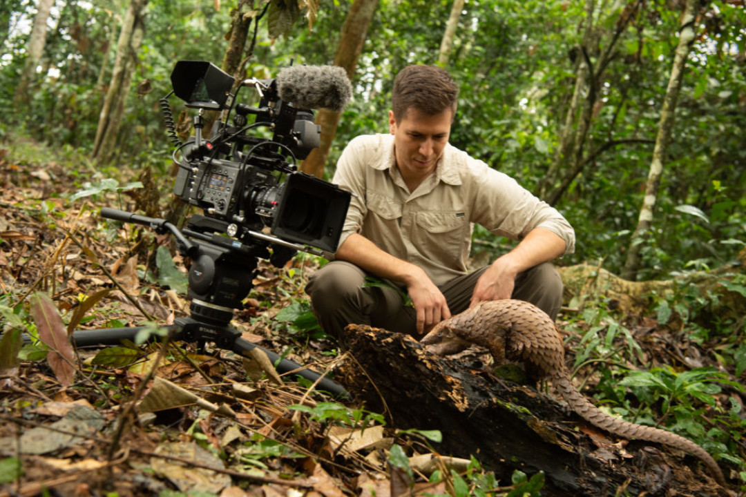 Вопрос сохранения биоразнообразия планеты и борьбы с браконьерством поднимается в фильме итальянского режиссера Паоло Соди «Шкурный интерес» (Blood