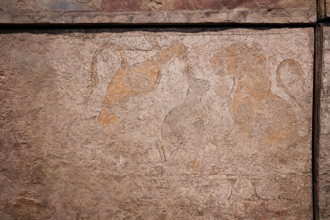 Басня о льве и зайце. Роспись по сухой штукатурке. 51 х 125,5 см. Пенджикент. Около 740 г.