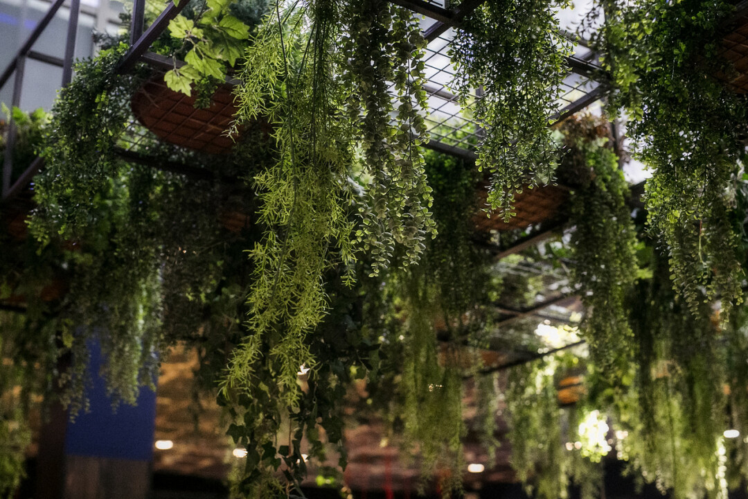 Mama Tuta, Зоологический пер.