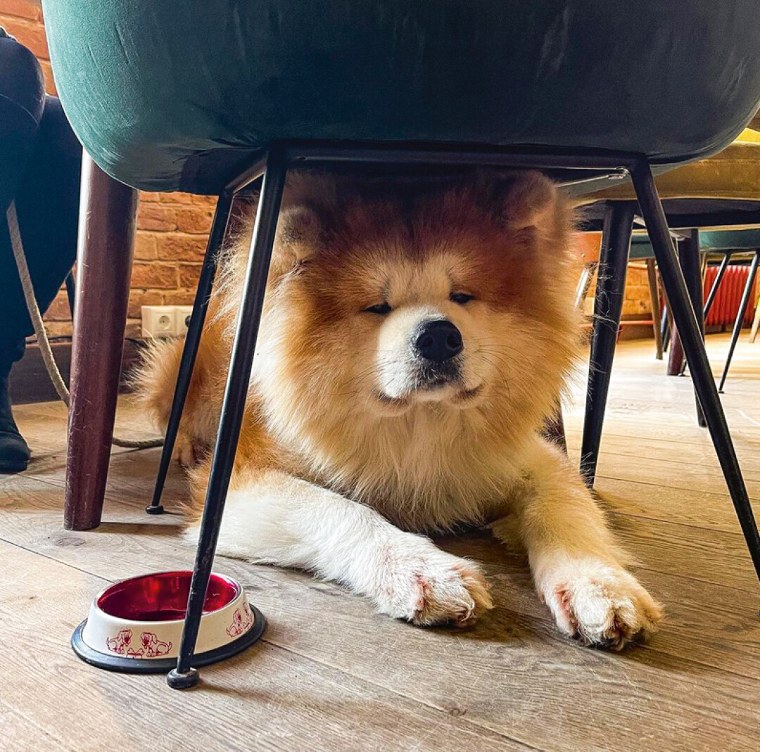 Постоянный гость «Настроения» – Алтын