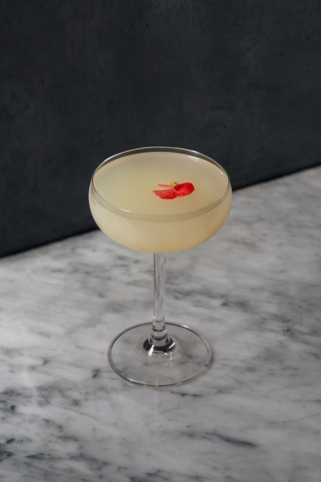 Hentai Daiquiri
