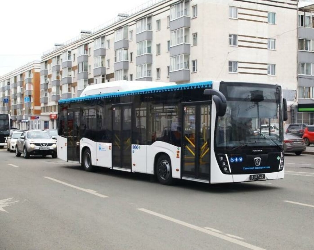 В Уфе запустили новый автобусный маршрут от Черниковки до аэропорта |  Sobaka.ru