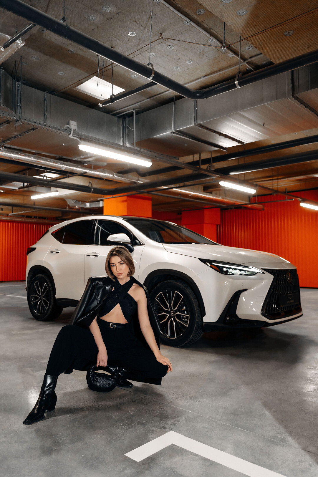 All new Lexus NX