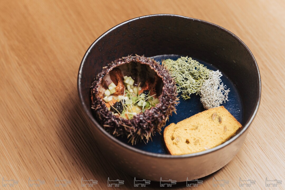 Морской ёж с огурцом и живыми специями