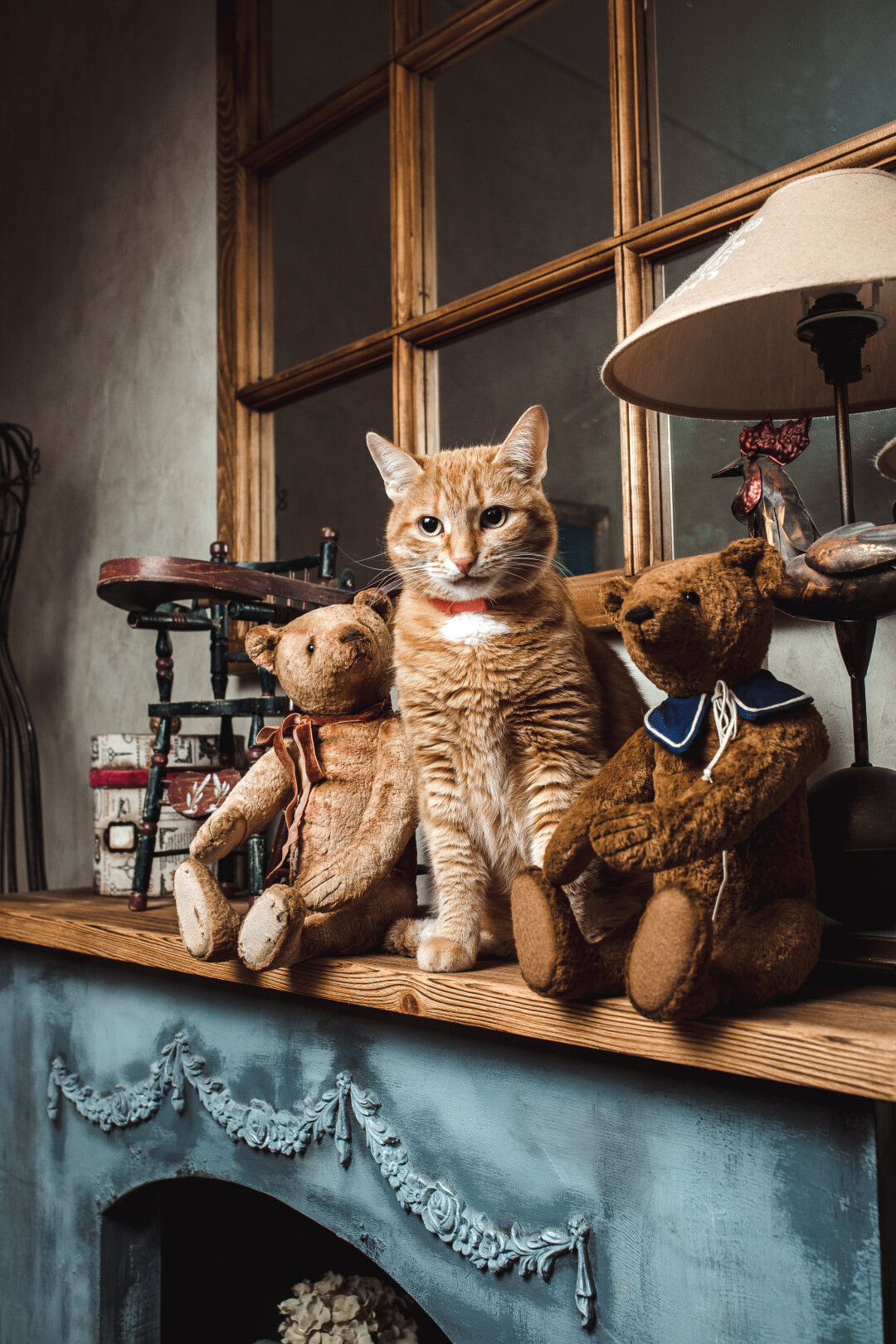 Помогают шить своими лапками