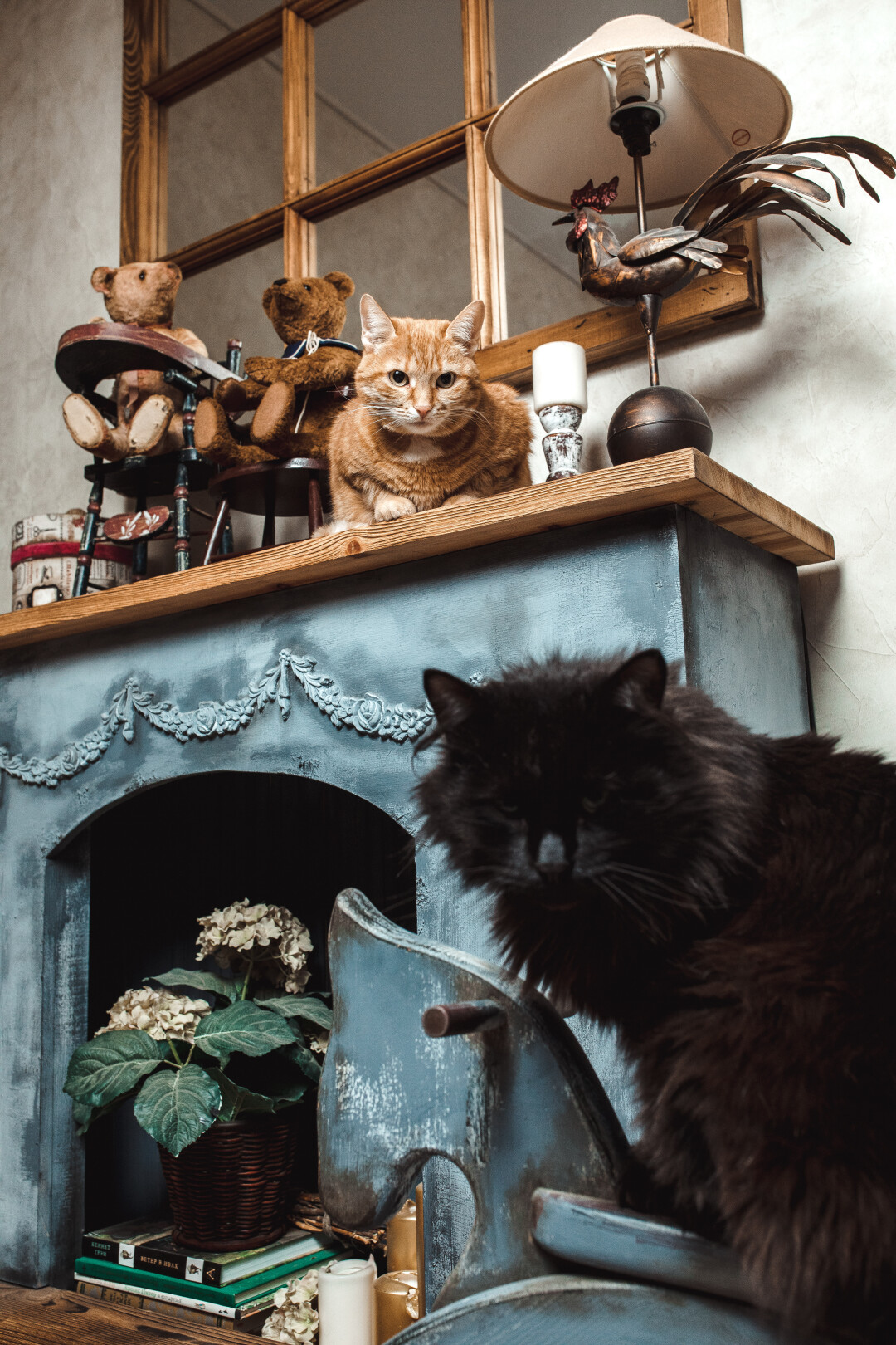 Помогают шить своими лапками