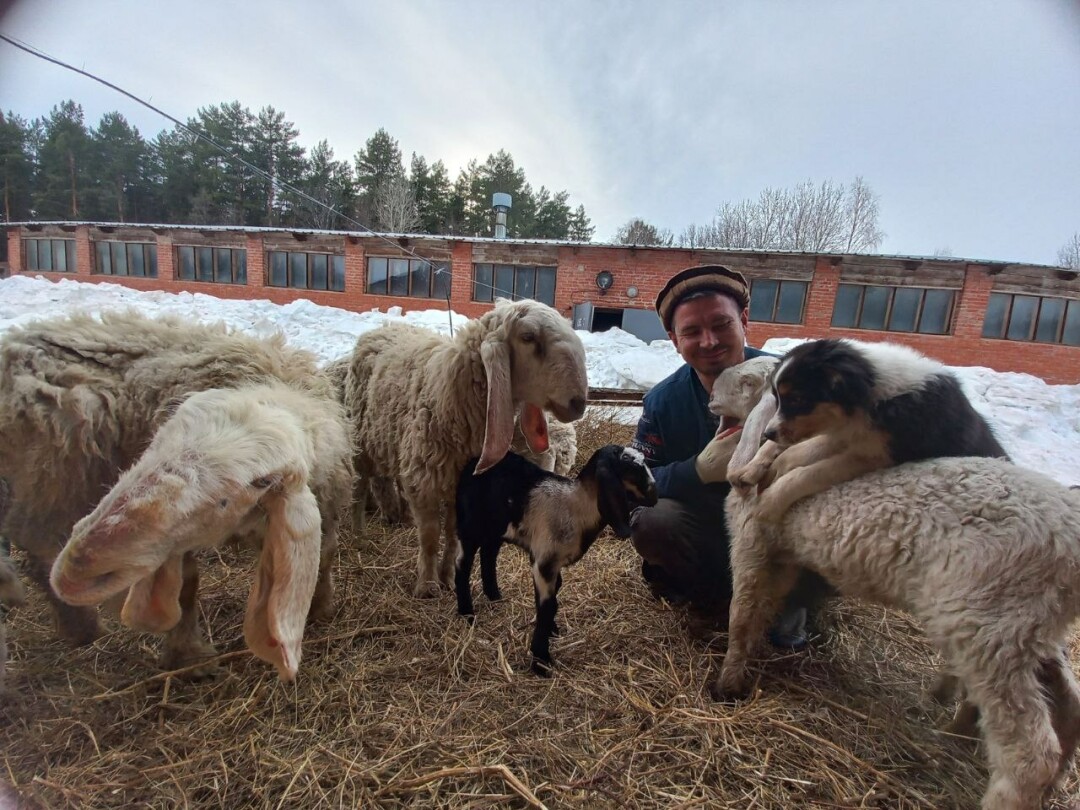 Барашки долан живут всего в трех регионах России