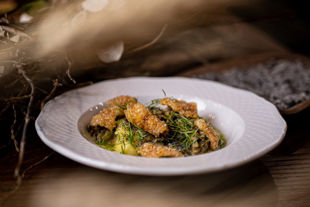 Рапаны в сливочном соусе с пюре из пастернака и свиным попкорном