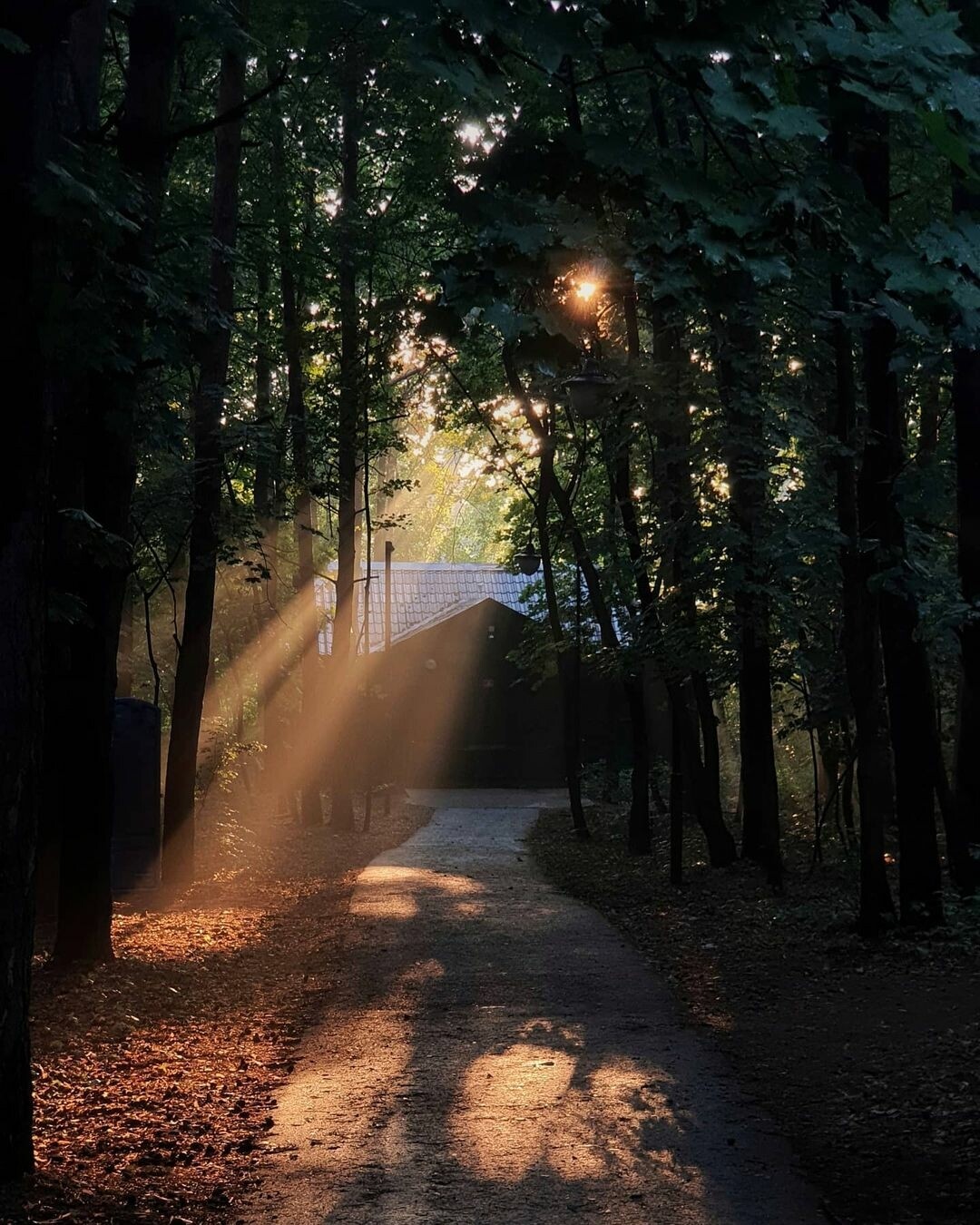 Фото: Илья Федоров