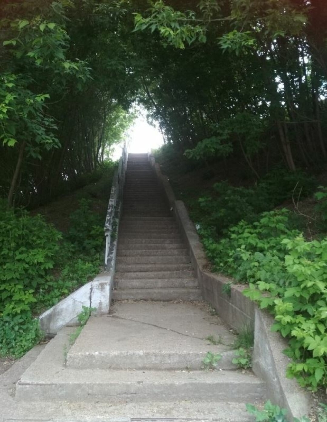 Фото: Анна Шалькова