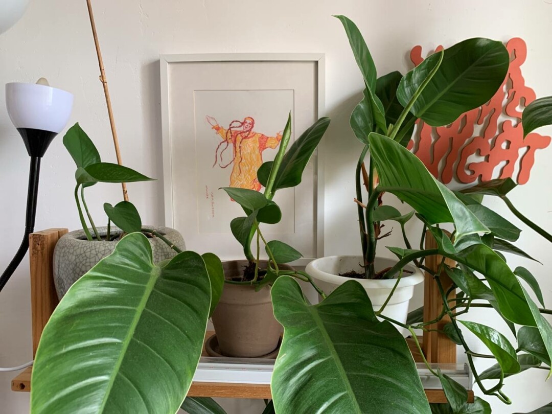 Аня Самойлова «Весна священная» и работа YMN, специально для Майи сделали логотип розовым