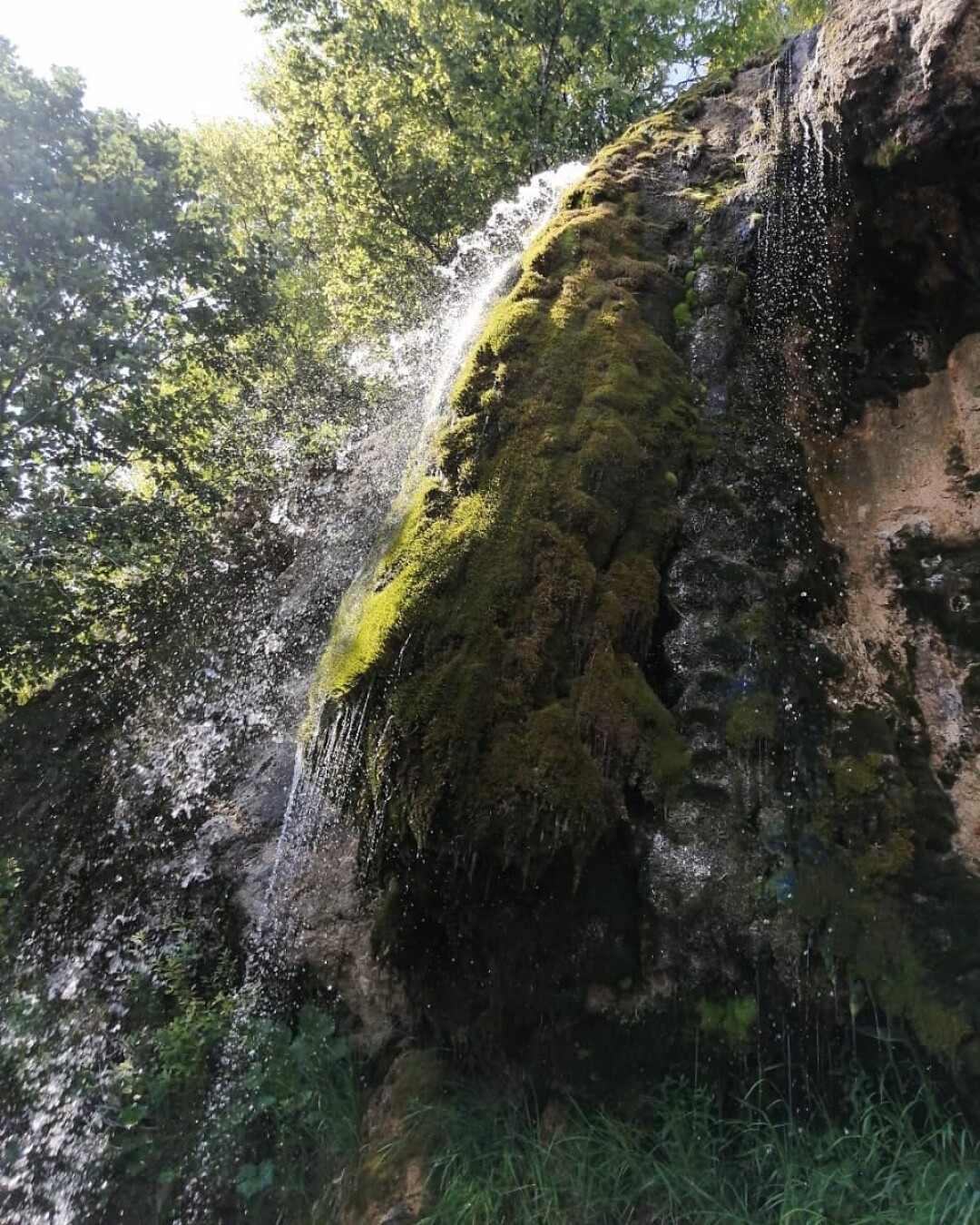 Фото: Эльвина Федорова