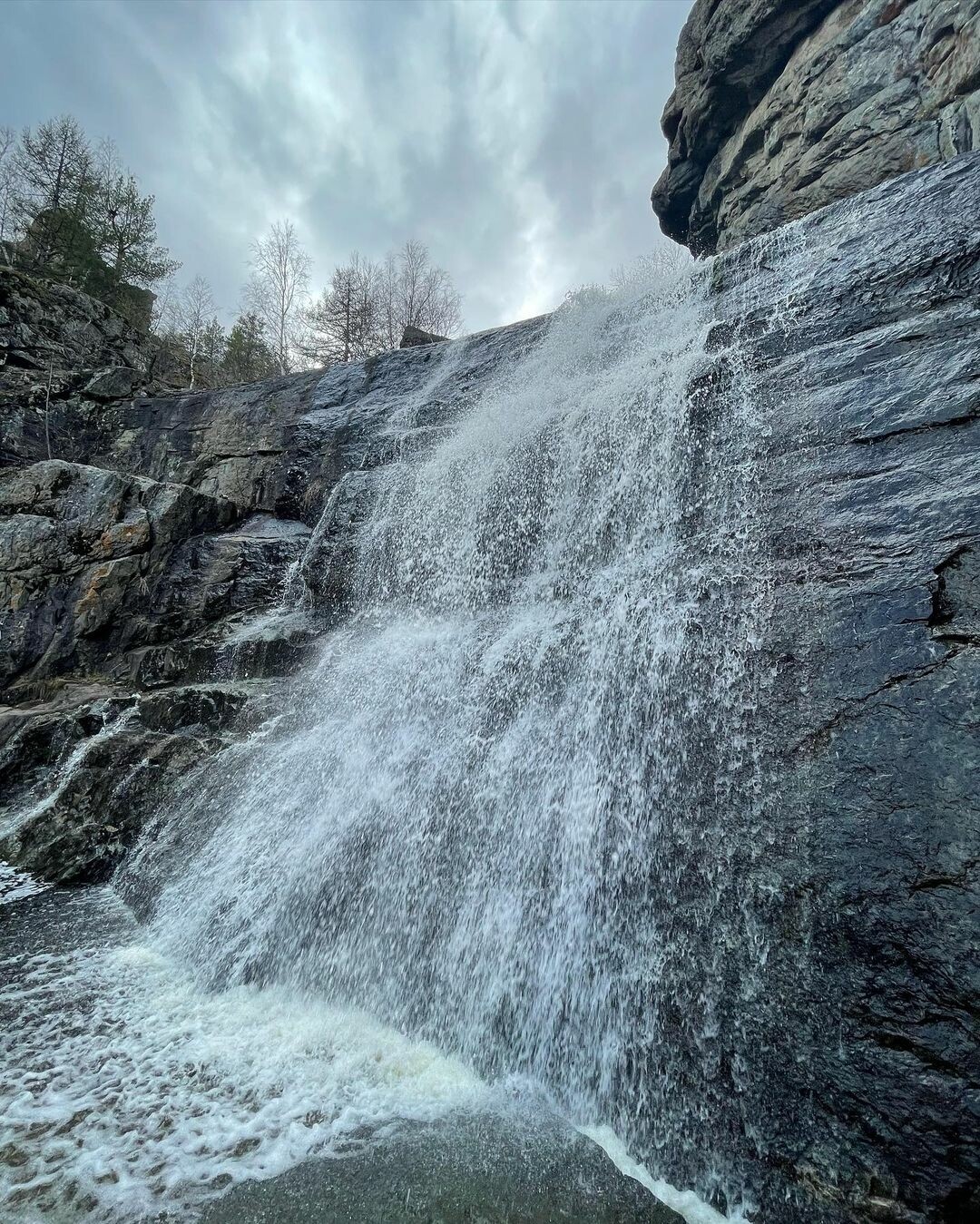 Фото: Виктория Прокопьева