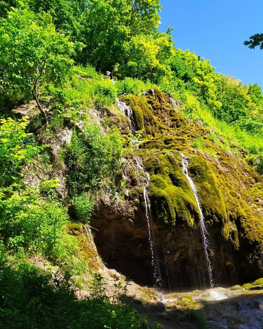 Фото: Юлия Алексеева