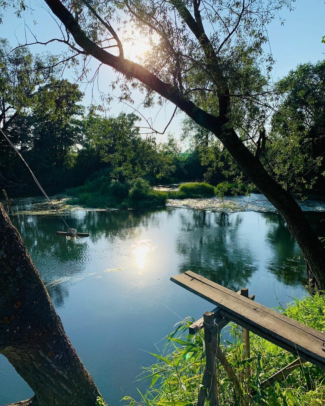 Фото: Алина Гарифуллина