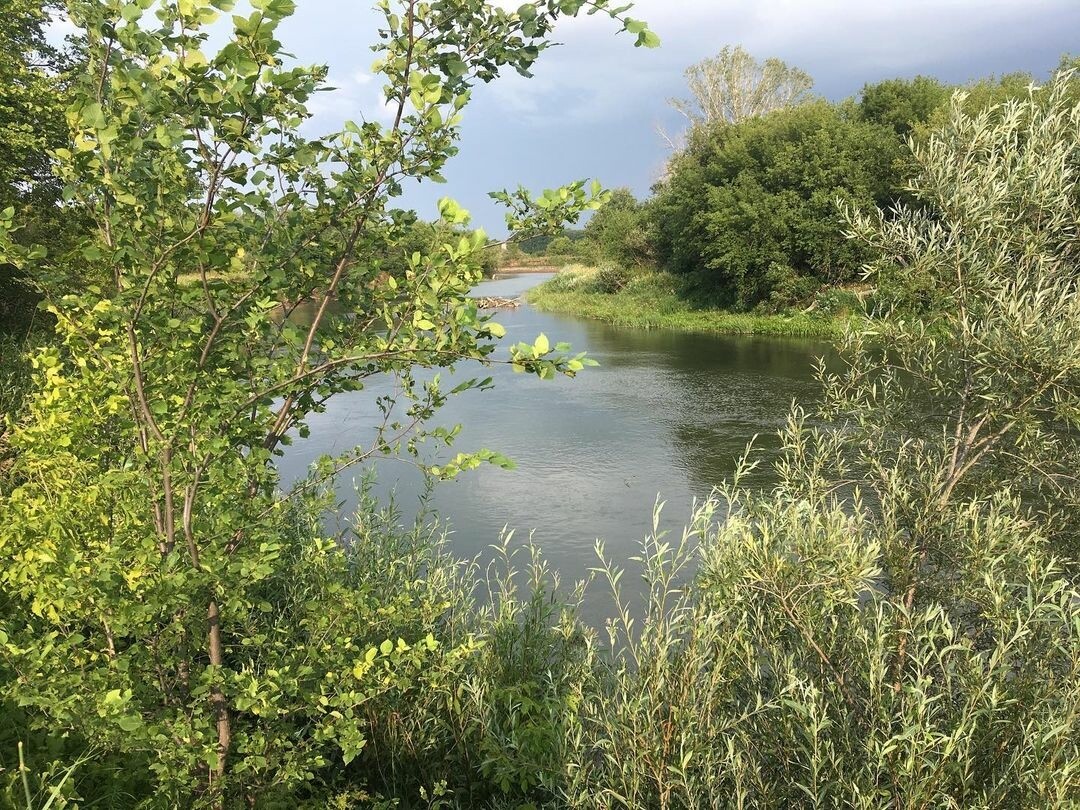 Фото: Гульдар Зарипова