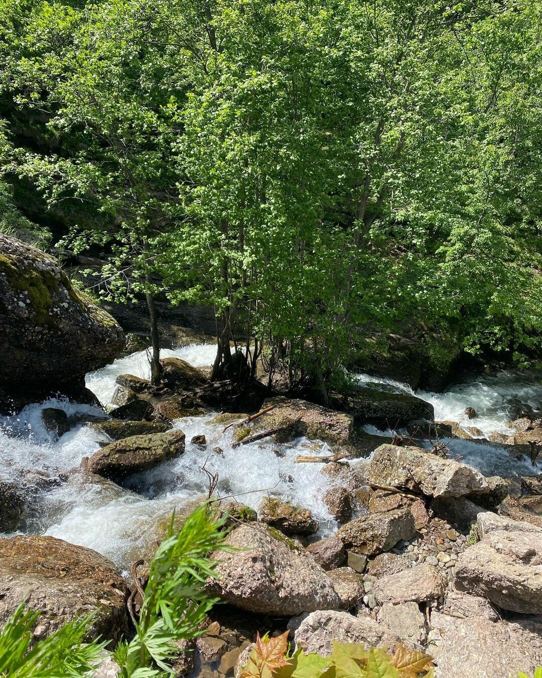 Фото: Айгуль Зарипова