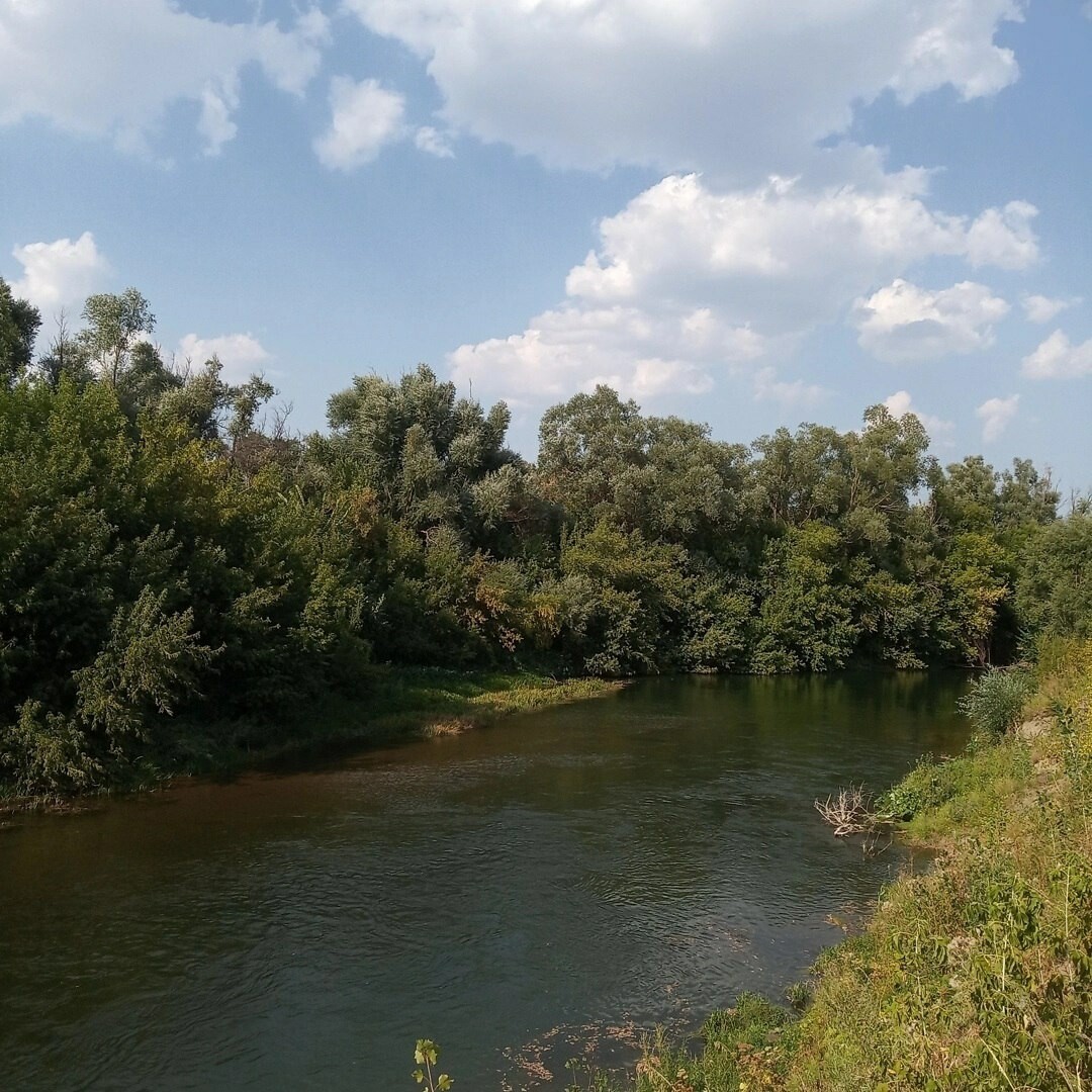 Фото: Эльвира Маннанова
