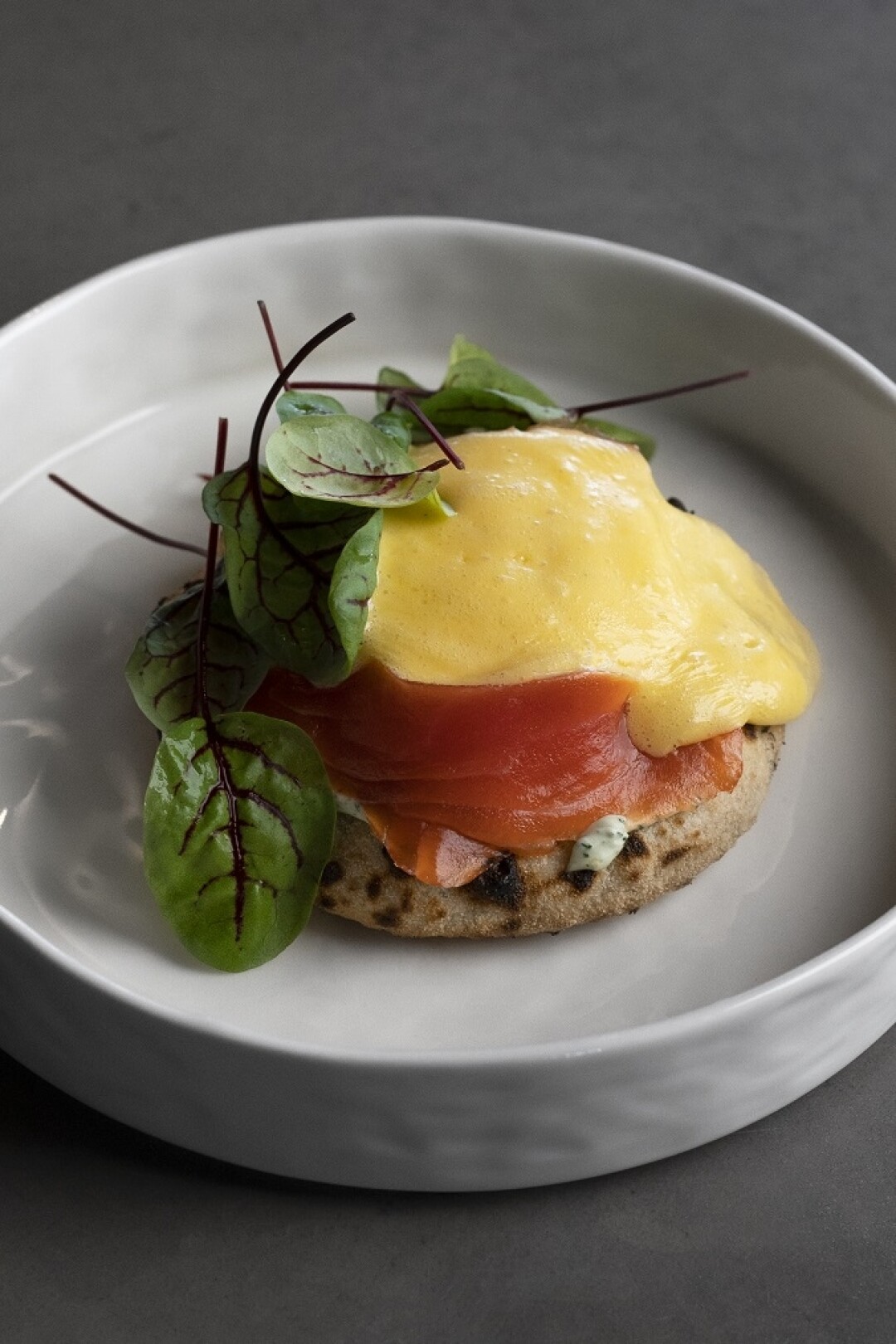 Бенедикт в HVOY