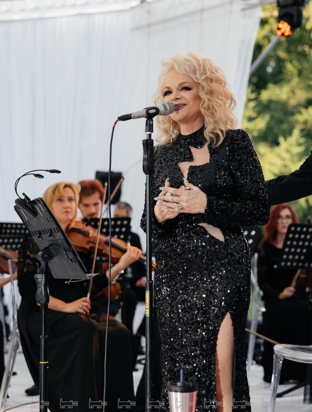 Лариса Долина