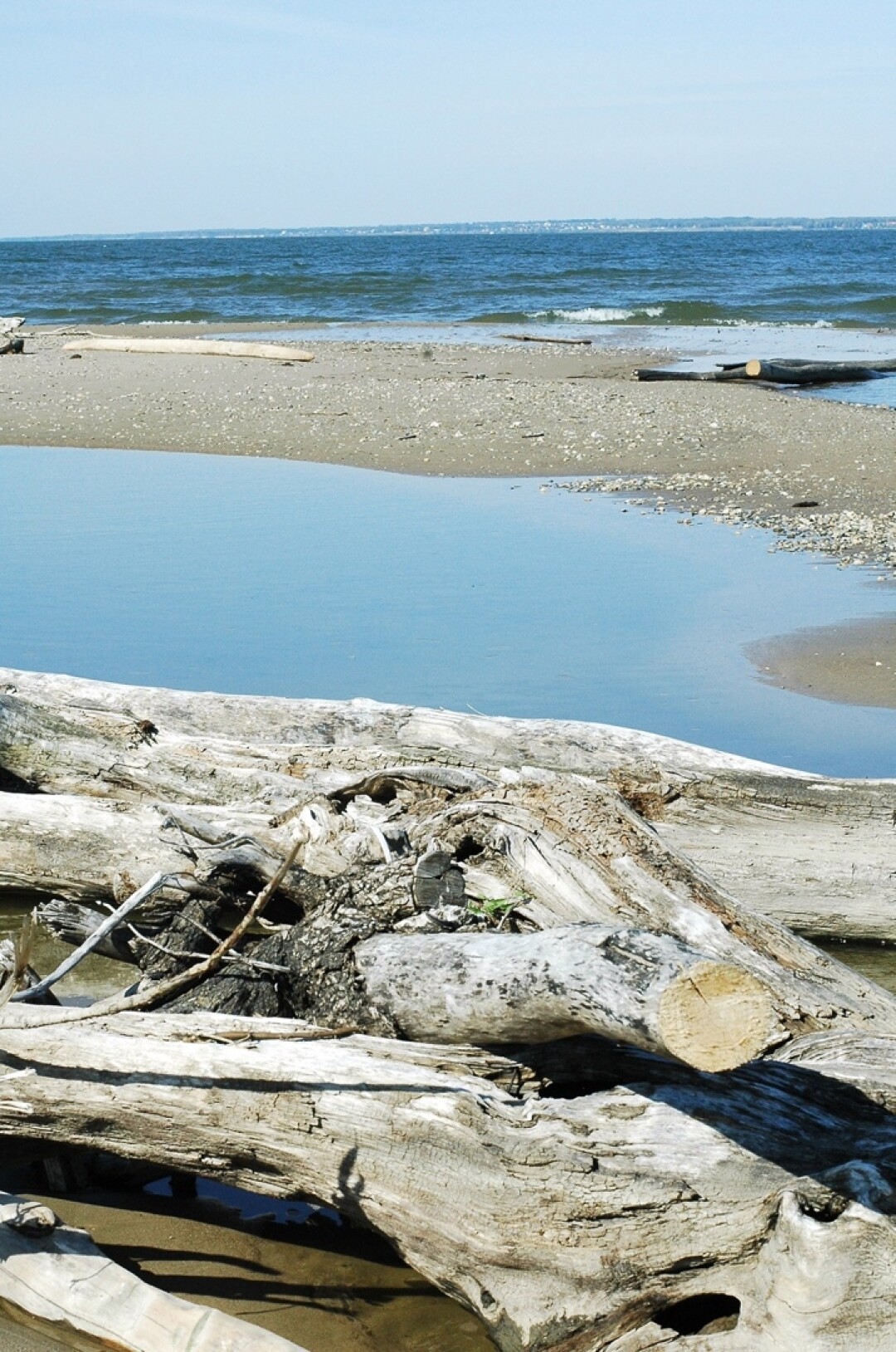 За городом: Обское море Обское водохранилище сибиряки называют морем, его пляжи облюбовали как туристы, так и местные жители. Неподалеку — особо