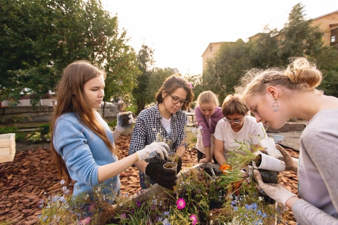 Развлечения: «Сад 61°69°» Рукотворный оазис северной природы в центре города. Посетители Сада могут заниматься спортом, ухаживать за собственной