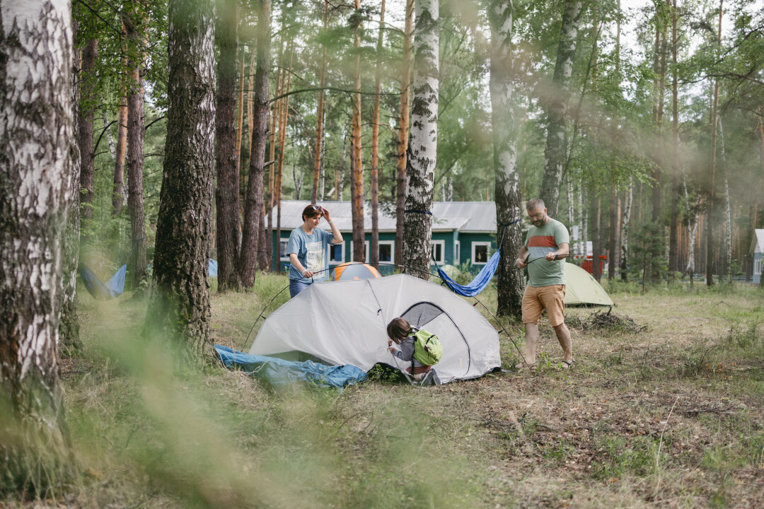 Кемпинг "Все это сон"