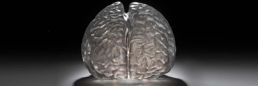 Ярослав Ксенофонтов. «Сияние кристального разума», дымчатый кварц.