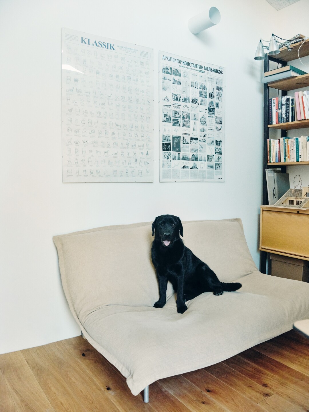 Лабрадор Наоми на диване Ligne Roset. Стеллажи и макет «Горка Дома» Капитуров сделал сам