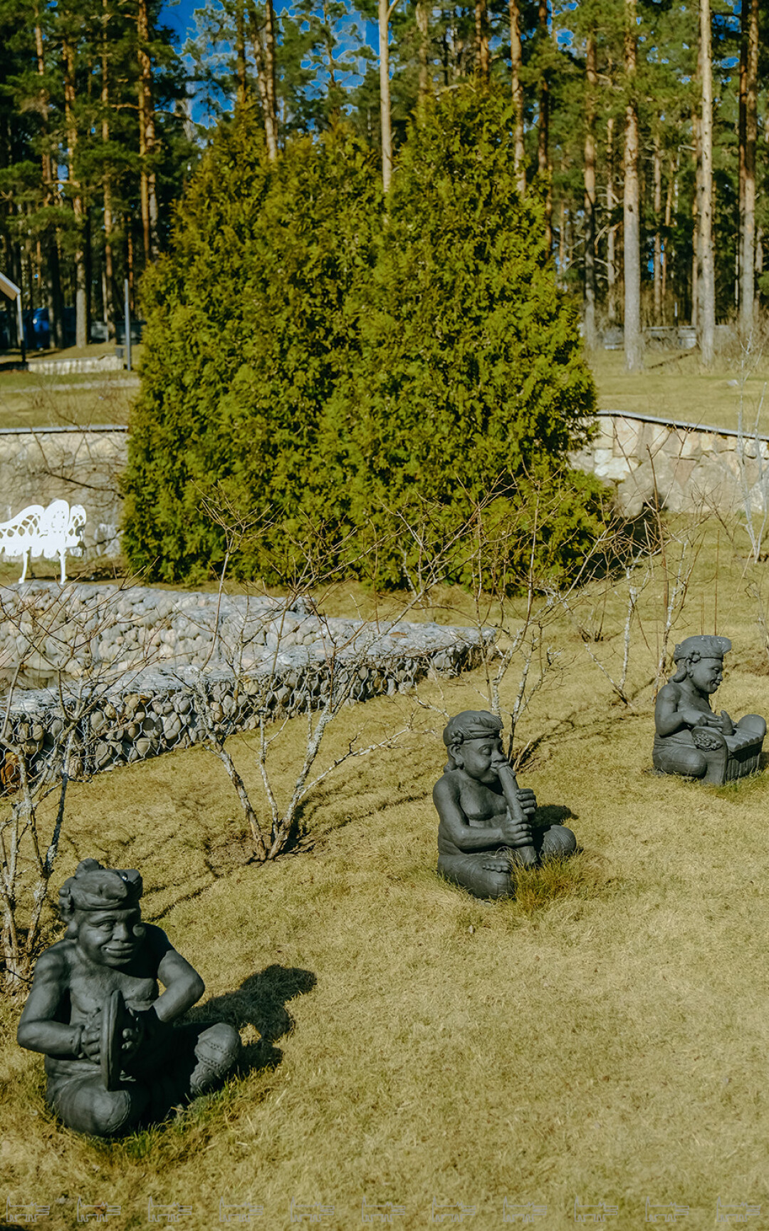 Все готово к открытию ретрита: скульптуры с Бали превратили канонический Карельский пейзаж в духовный заповедник.