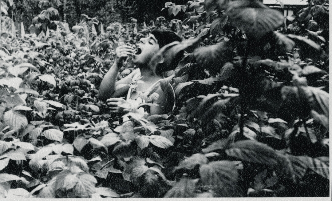 Малина и другие ягоды Вологодчины — главное лакомство Арама на каникулах