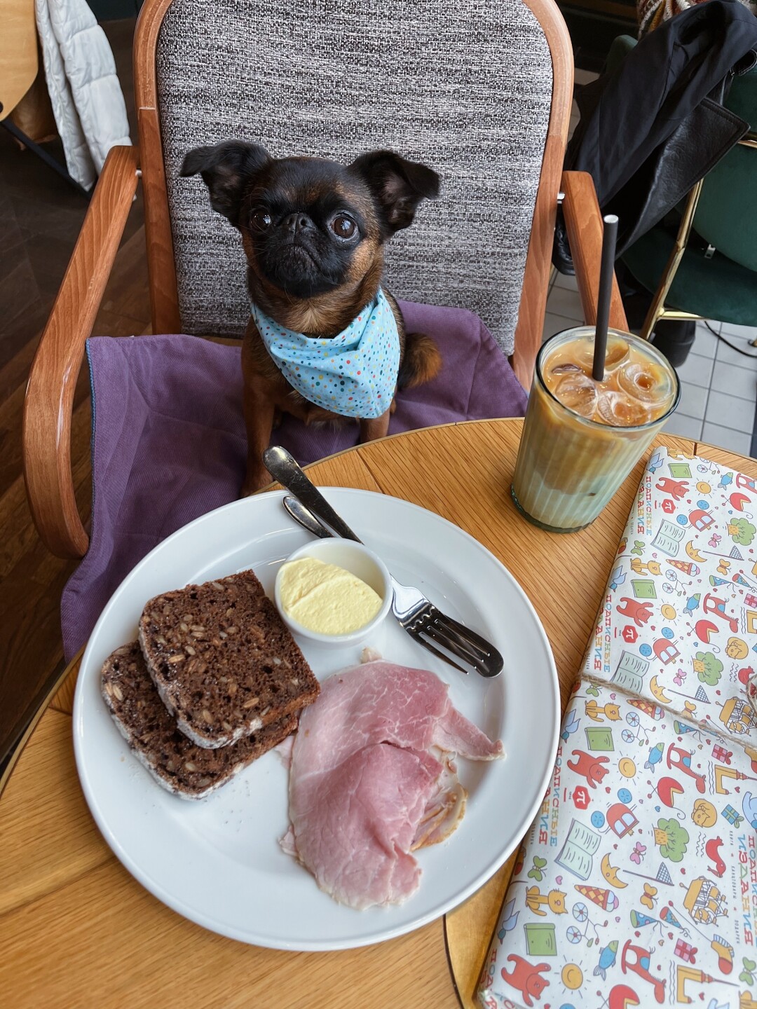 Рестораны можно с собакой