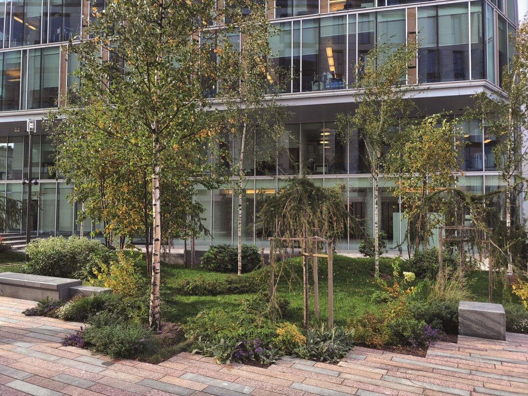 Сад на стилобате во внутреннем дворе One Trinity Place на Петроградской стороне