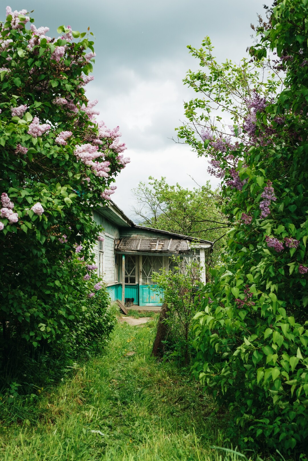 Каждый второй нижегородец не хочет ехать на дачу | Sobaka.ru