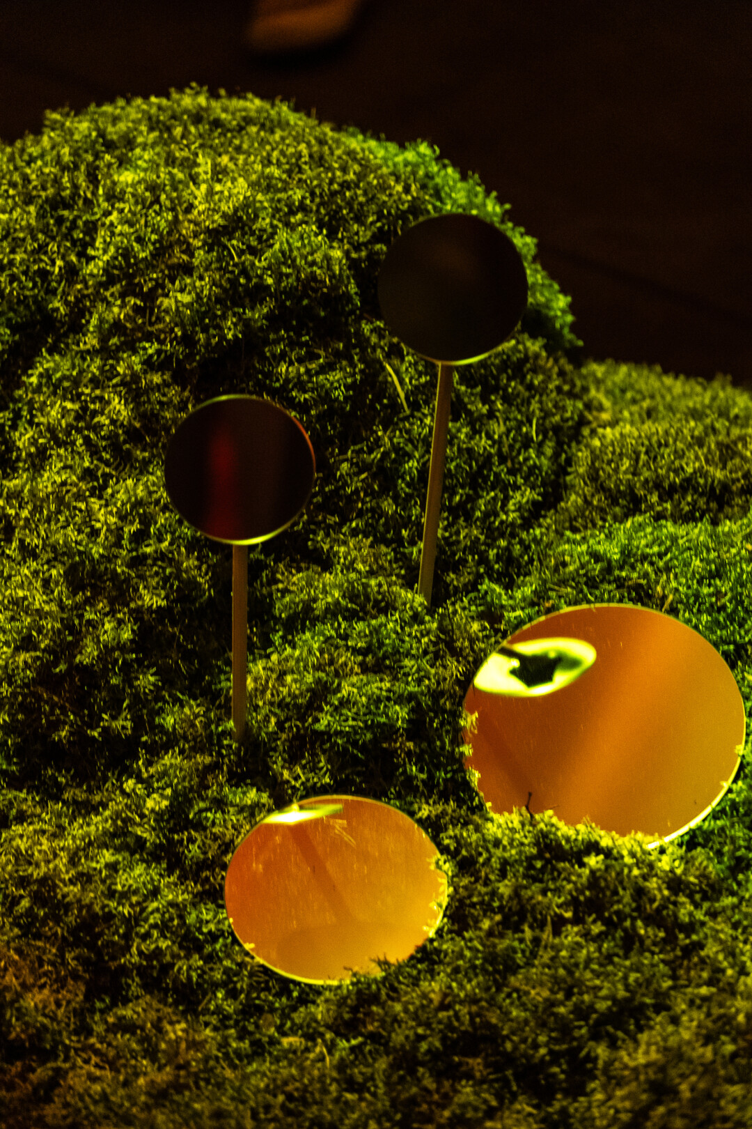 Radugadesign